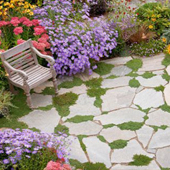 Crazy Paving